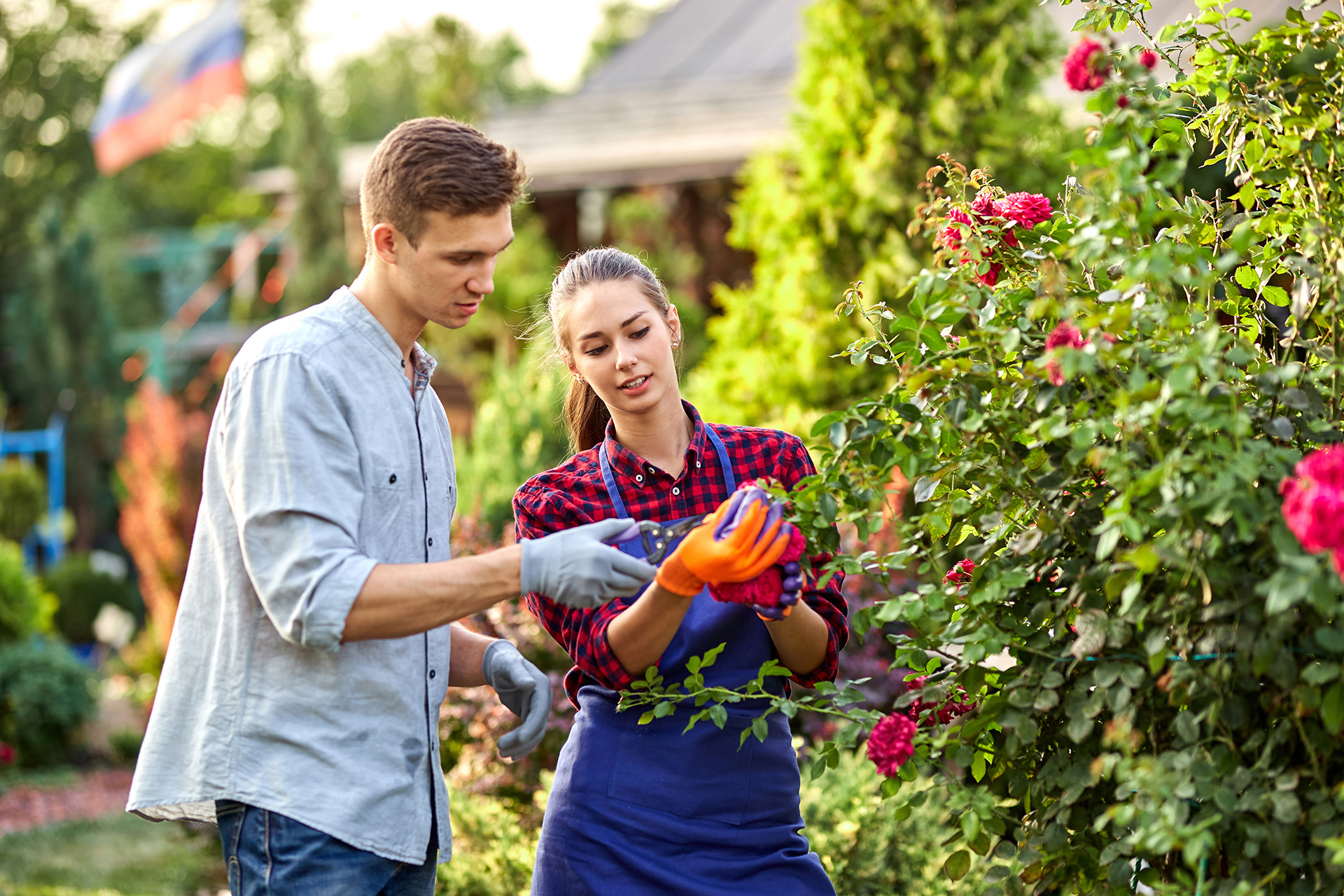 Ausbildung Gärtner/in Gärtnerei Blumen + Pflanzen Vatter