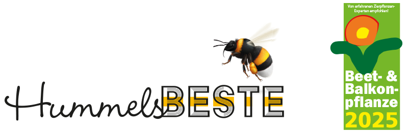 HummelsBeste-Schrift-QWeb-2025 Hummels Beste - Balkonpflanze des Jahres 2025